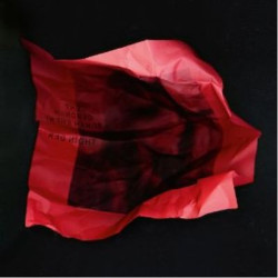 Виниловая пластинка The Hundred In The Hands - Red Night