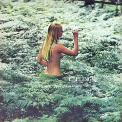 Jay Richford And Gary Stevan / Feelings(1LP) (LP)
