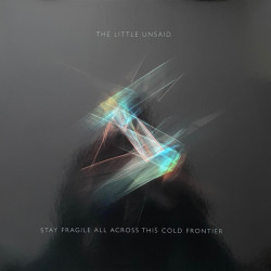 Виниловая пластинка The Little Unsaid - Stay Fragile All Across This C