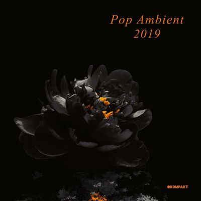 Виниловая пластинка Various Artists - Pop Ambient 2019