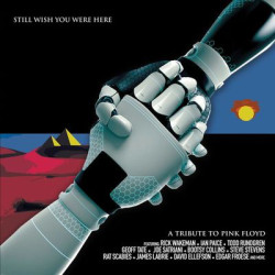 Виниловая пластинка Various Artists - A Tribute To Pink Floyd - Stil