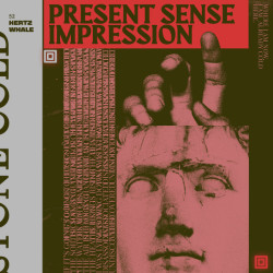 Виниловая пластинка 52 Hertz Whale - Present Sense Impression