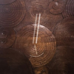 Виниловая пластинка Eyvind Kang And Jessika Kenney - Reverse Tree