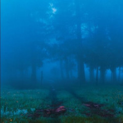 Виниловая пластинка Various Artists - Commune
