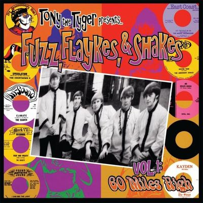 Виниловая пластинка Various Artists - Fuzz, Flaykes And Shakes