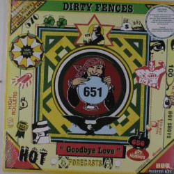 Виниловая пластинка Dirty Fences - Goodbye Love