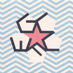Виниловая пластинка Get Cape. Wear Cape. Fly - Young Adult