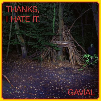 Виниловая пластинка Gavial - Thanks, I Hate It (Lp+Cd)