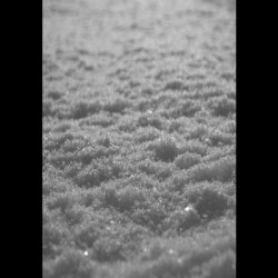 Виниловая пластинка Paysage D'Hiver - Schnee (2Lp)