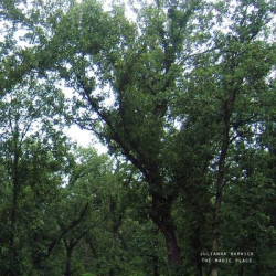Виниловая пластинка Barwick Julianna - Magic Place The (2024 Remaster