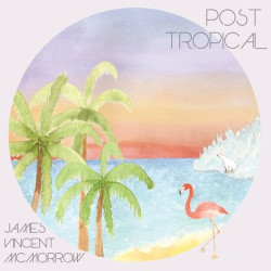 Виниловая пластинка James Vincent Mcmorrow - Post Tropical