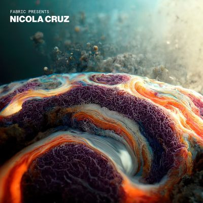 Виниловая пластинка Various Artists feat. Nicola Cruz - fabric presents Nicola Cruz