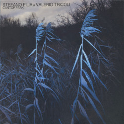 Виниловая пластинка Stefano Pilia &amp; Valerio Tricoli - Cantor Park