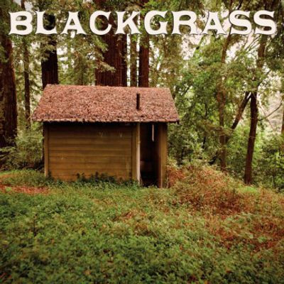 Виниловая пластинка Earl Lee Grace - Blackgrass