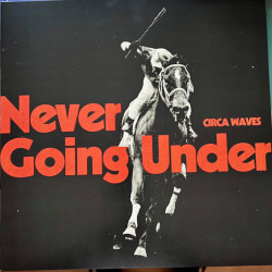 Виниловая пластинка Circa Waves - Never Going Under
