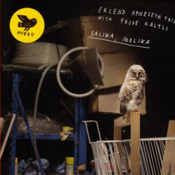 Виниловая пластинка Apneseth Erlend Trio - Salika Molika