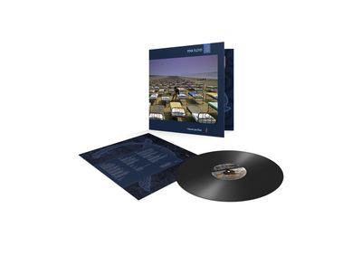 Виниловая пластинка Pink Floyd - A Momentary Lapse Of Reason