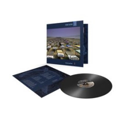 Виниловая пластинка Pink Floyd - A Momentary Lapse Of Reason