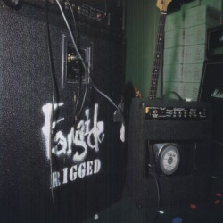 Виниловая пластинка Farside - Rigged (Mint Green Eco Vinyl+Booklet)
