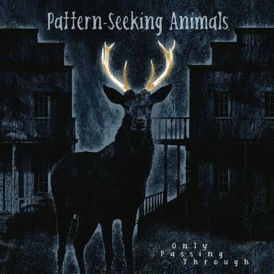 Виниловая пластинка Pattern-Seeking Animals - Only Passing Through (Gatefold Black 2LPCD)