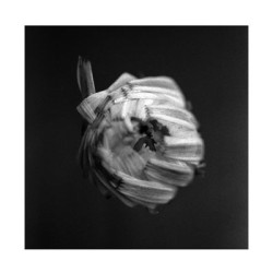 Виниловая пластинка A Swarm Of The Sun - An Empire