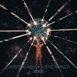 Виниловая пластинка Shadow Universe - Subtle Realms, Subtle Worlds