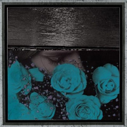 Виниловая пластинка Jessica Bailiff - At The Down Turned Jagged Rim