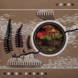 Виниловая пластинка Elfin Saddle - Wurld