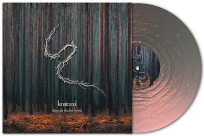 Виниловая пластинка Lunatic Soul - Through Shaded Woods (LP)