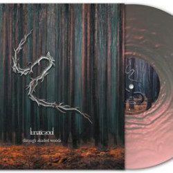 Виниловая пластинка Lunatic Soul - Through Shaded Woods (LP)