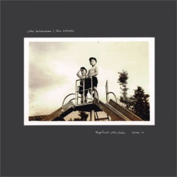 Виниловая пластинка Chihei Hatakayama &amp; Shun Ishiwaka - Magnificent Little Dudes vol. 1