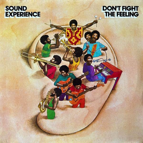 Виниловая пластинка Sound Experience - Don'T Fight The Feeling