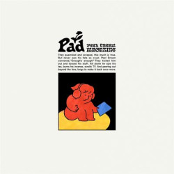 Виниловая пластинка Peel Dream Magazine - Pad
