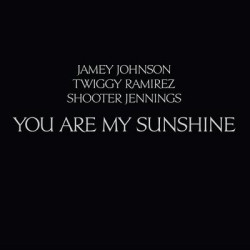 Виниловая пластинка Shooter Jennings Jamey Johnso - You Are My Sunshine