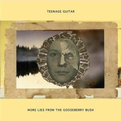 Виниловая пластинка Teenage Guitar - More Lies From The Gooseberry Bush