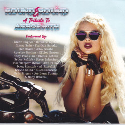 Виниловая пластинка Various Artists - Round &amp; Round – A Tribute To Aerosmith