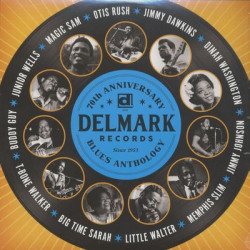 Виниловая пластинка Various Artists - Delmark Records 70Th Annivers