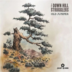 Виниловая пластинка The Down Hill Strugglers - Old Juniper
