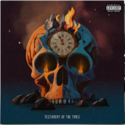 Виниловая пластинка Jae Skeese &amp; Superior - Testament Of The Times