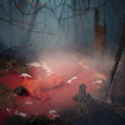 Виниловая пластинка The Kernal - Listen To The Blood