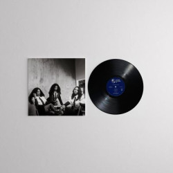 Виниловая пластинка The Womack Sisters - The Womack Sisters (LP)