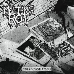 Виниловая пластинка Melting Rot - Cold Case Files (Galaxy: Black/Silver Vinyl)