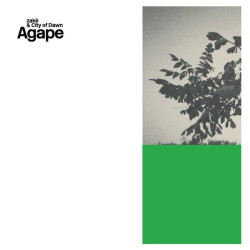Виниловая пластинка Zakè &amp; City Of Dawn - Agape