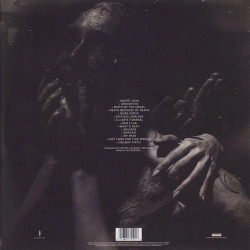 Виниловая пластинка Slipknot - We Are Not Your Kind (2LP) прозрачный винил