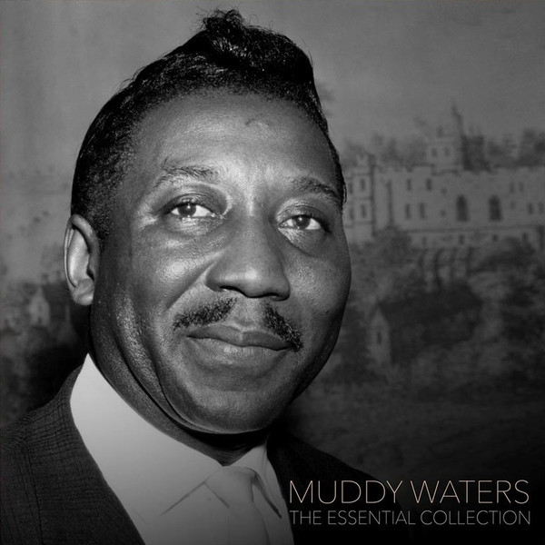 Виниловая пластинка Muddy Waters - The Essential Collection (LP)
