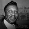Виниловая пластинка Muddy Waters - The Essential Collection (LP)