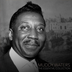 Виниловая пластинка Muddy Waters - The Essential Collection (LP)