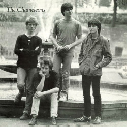 Виниловая пластинка The Chameleons - La La - La - La (LP)