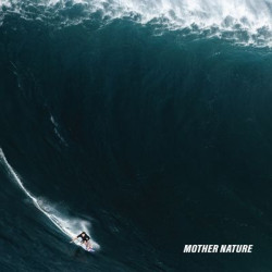 Виниловая пластинка The Dangerous Summer - Mother Nature