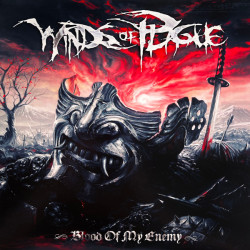 Виниловая пластинка Enemy Of My Enemy - Enemy Of My Enemy